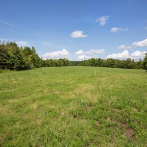 Weadon Road 8