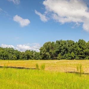 11-011-LakesideDr-Lot3-20250821