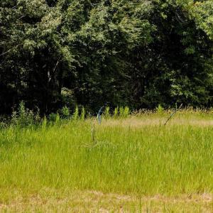 23-023-LakesideDr-Lot-5-5A-20250821