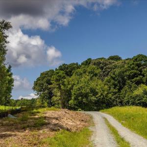 26-026-LakesideDr-Lot-5-5A-20250821