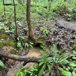 Driveway culvert in place - Old NC 86