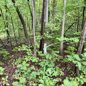 Telephone pedastol - Old NC 86