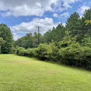 Old Oxford Rd. - Front Yard