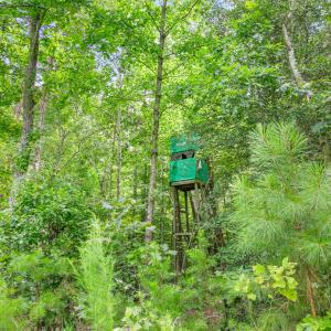 1312 Chigger Ridge Road-16