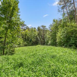 1312 Chigger Ridge Road-18