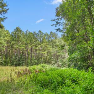 1312 Chigger Ridge Road-22