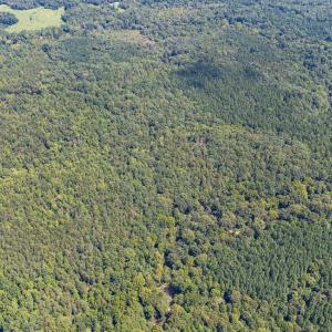 1312 Chigger Ridge Road-Drone-1