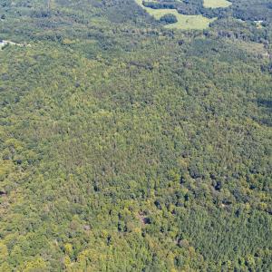 1312 Chigger Ridge Road-Drone-2