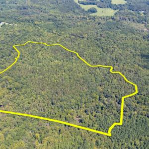 1312 Chigger Ridge Road-Drone-2-LOT