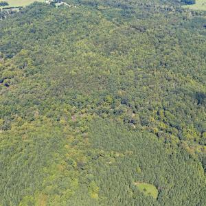 1312 Chigger Ridge Road-Drone-3