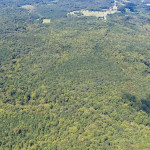 1312 Chigger Ridge Road-Drone-6