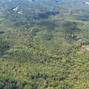 1312 Chigger Ridge Road-Drone-8