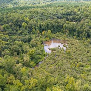 1312 Chigger Ridge Road-Drone-9