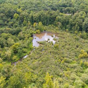 1312 Chigger Ridge Road-Drone-10