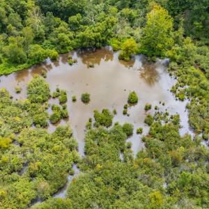 1312 Chigger Ridge Road-Drone-12