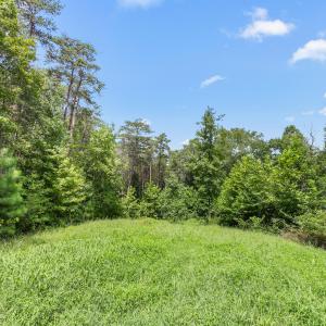 1312 Chigger Ridge Road-17