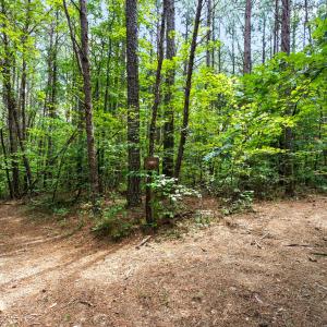 1312 Chigger Ridge Road-21