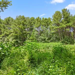 1312 Chigger Ridge Road-24