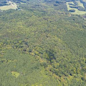 1312 Chigger Ridge Road-Drone-4