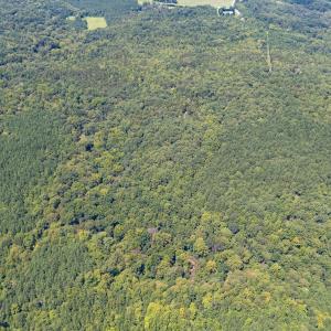 1312 Chigger Ridge Road-Drone-5