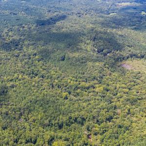 1312 Chigger Ridge Road-Drone-7