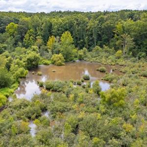 1312 Chigger Ridge Road-Drone-11