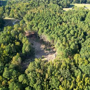 DJI_0154