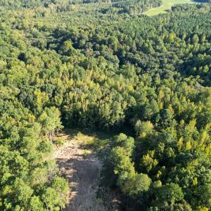 DJI_0151