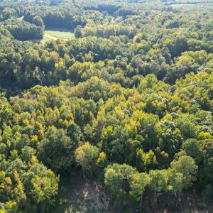 DJI_0144 (1)