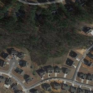 Satellite image
