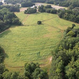 DJI_0467