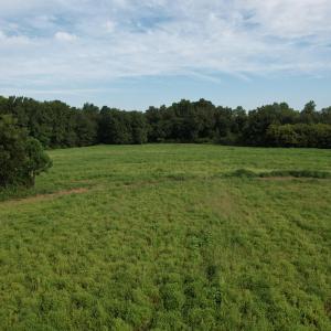 DJI_0469
