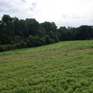 DJI_0471