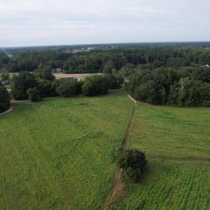 DJI_0474