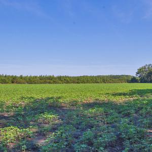 Photo #97 of Nc Highway 33, Tarboro, NC 683.1 acres
