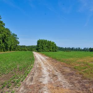 Photo #44 of Nc Highway 33, Tarboro, NC 683.1 acres