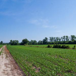 Photo #58 of Nc Highway 33, Tarboro, NC 683.1 acres