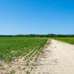 Photo #68 of Nc Highway 33, Tarboro, NC 683.1 acres