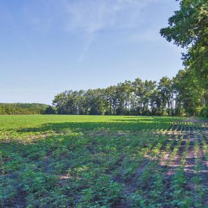 Photo #91 of Nc Highway 33, Tarboro, NC 683.1 acres