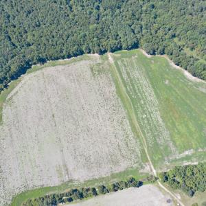 DJI_0575