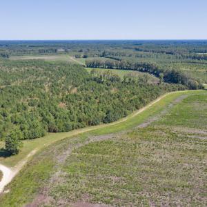 DJI_0563