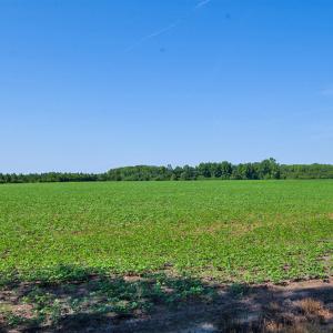 Photo #85 of Nc Highway 33, Tarboro, NC 683.1 acres