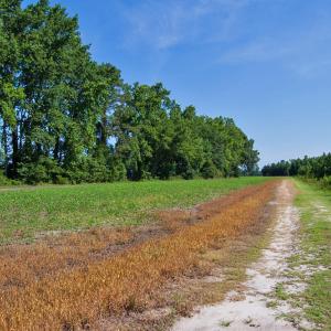 Photo #62 of Nc Highway 33, Tarboro, NC 683.1 acres