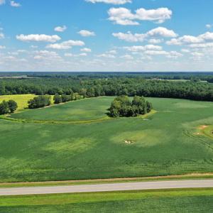 DJI_0594