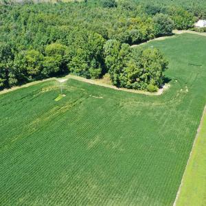DJI_0595