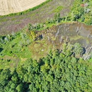 DJI_0598