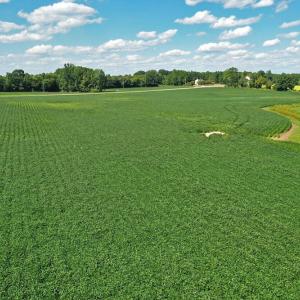 DJI_0615