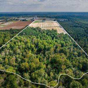 DJI_20250917164434_0462_D - Outline