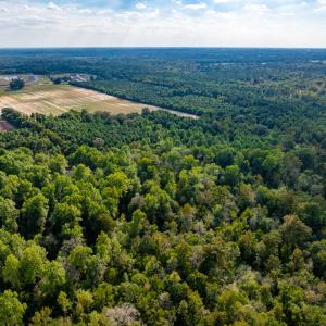DJI_20250917164457_0463_D
