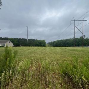 Pasture
